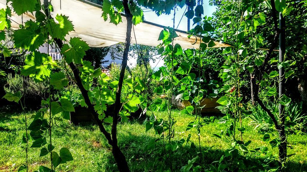 Stressfree Villa Ičići エクステリア 写真